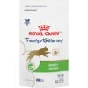 Royal Canin Veterinary Diet Adult Urinary Cat Treats
