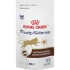Royal Canin Veterinary Diet Adult Gastrointestinal Cat Treats -Trixie || Catit || Nature's Miracle Shop 100481 MAIN. AC SS1800 V1696254911