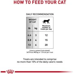 Royal Canin Veterinary Diet Adult Gastrointestinal Cat Treats 15 Royal Canin Veterinary Diet Adult Gastrointestinal Cat Treats -Trixie || Catit || Nature's Miracle Shop 100481 PT4. AC SS1800 V1701982815