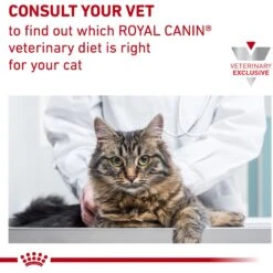 Royal Canin Veterinary Diet Adult Hydrolyzed Protein Cat Treats 19 Royal Canin Veterinary Diet Adult Hydrolyzed Protein Cat Treats -Trixie || Catit || Nature's Miracle Shop 100483 PT8. AC SS1800 V1702908066