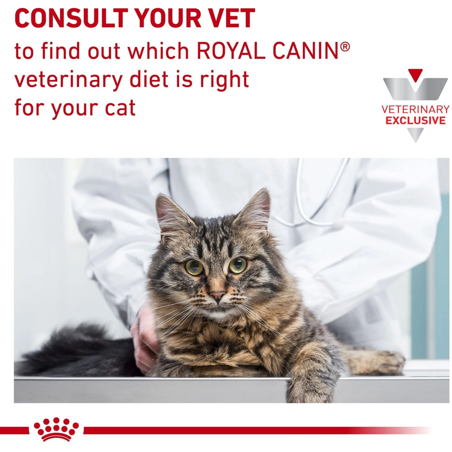 Royal Canin Veterinary Diet Adult Hydrolyzed Protein Cat Treats 11 Royal Canin Veterinary Diet Adult Hydrolyzed Protein Cat Treats - Image 9