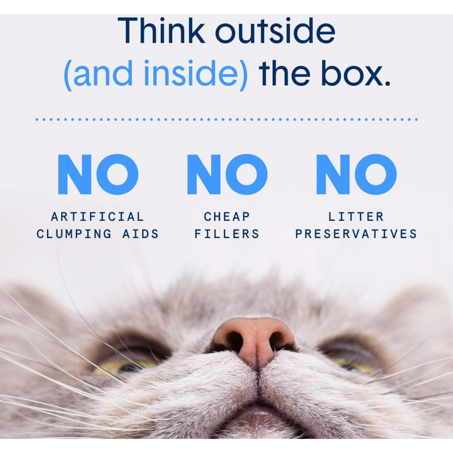 Boxiecat Premium Unscented Clumping Clay Cat Litter 8 Boxiecat Premium Unscented Clumping Clay Cat Litter - Image 6