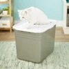 Petmate Top Entry Litter Pan -Trixie || Catit || Nature's Miracle Shop 105471 MAIN. AC SS1800 V1565284745