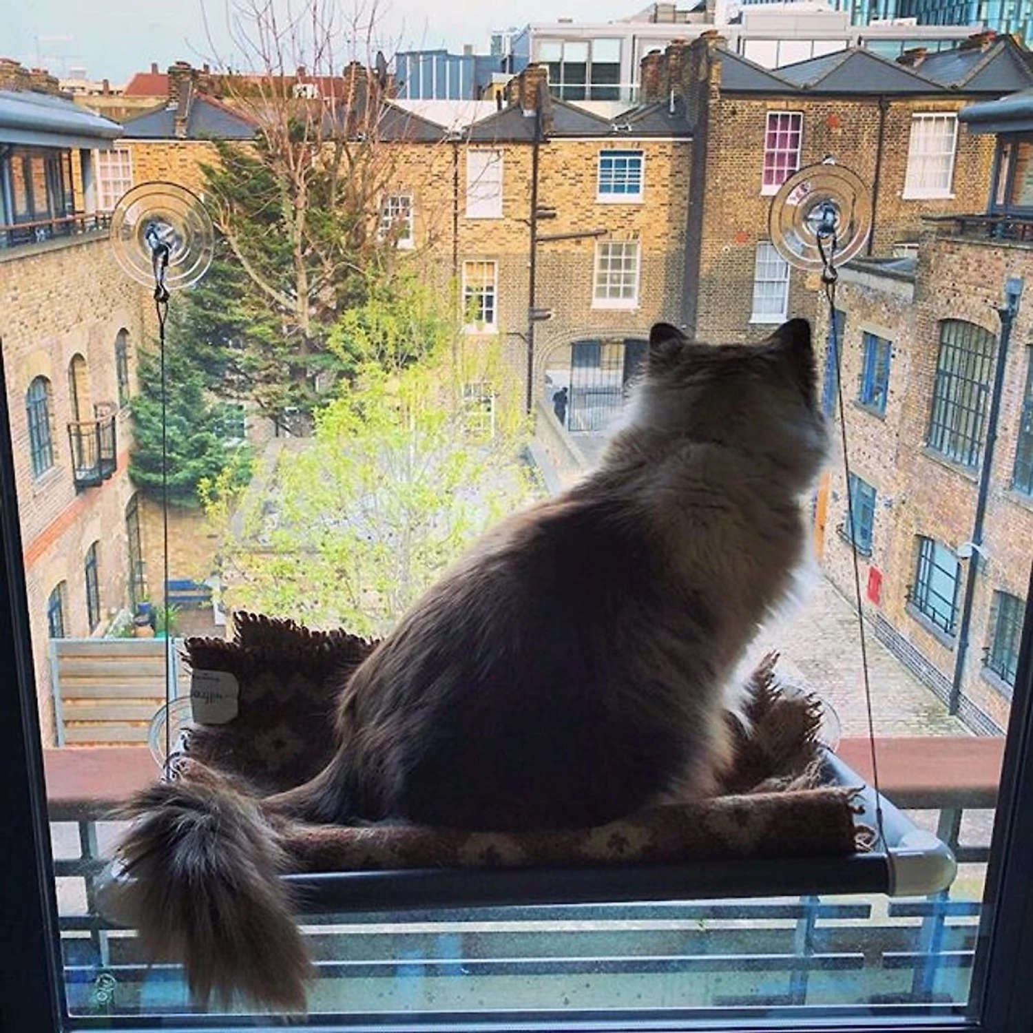 Kitty Cot Original World's Best Cat Perch 4 Kitty Cot Original World's Best Cat Perch - Image 2