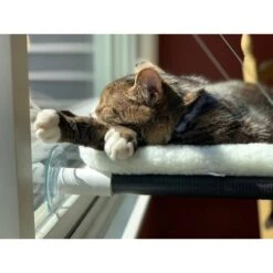 Kitty Cot Original World's Best Cat Perch 11 Kitty Cot Original World's Best Cat Perch -Trixie || Catit || Nature's Miracle Shop 108559 PT3. AC SS1800 V1568668924