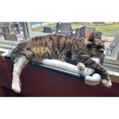 Kitty Cot Original World's Best Cat Perch 12 Kitty Cot Original World's Best Cat Perch -Trixie || Catit || Nature's Miracle Shop 108559 PT4. AC SS1800 V1568668925