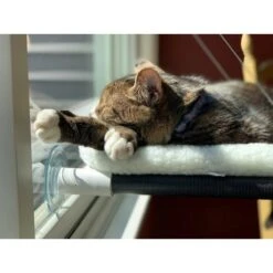 Kitty Cot Original World's Best Cat Perch Giant Replacement Suction Cups 17 Kitty Cot Original World's Best Cat Perch Giant Replacement Suction Cups -Trixie || Catit || Nature's Miracle Shop 108561 PT7. AC SS1800 V1627925775