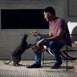 Sheba Meaty Tender Sticks Salmon Flavored Soft Adult Cat Treats -Trixie || Catit || Nature's Miracle Shop 109819 PT8. AC SS1800 V1675959781