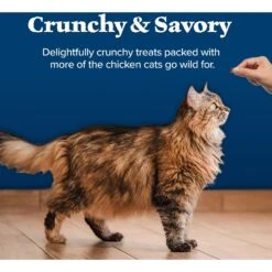 Blue Buffalo Wilderness Chicken Formula Crunchy Grain-Free Cat Treats -Trixie || Catit || Nature's Miracle Shop 114179 PT5. AC SS1800 V1691768581