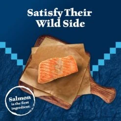 Blue Buffalo Wilderness Salmon Formula Crunchy Grain-Free Cat Treats -Trixie || Catit || Nature's Miracle Shop 114181 PT2. AC SS1800 V1691703374