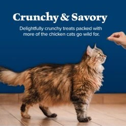 Blue Buffalo Wilderness Salmon Formula Crunchy Grain-Free Cat Treats -Trixie || Catit || Nature's Miracle Shop 114181 PT5. AC SS1800 V1691768521
