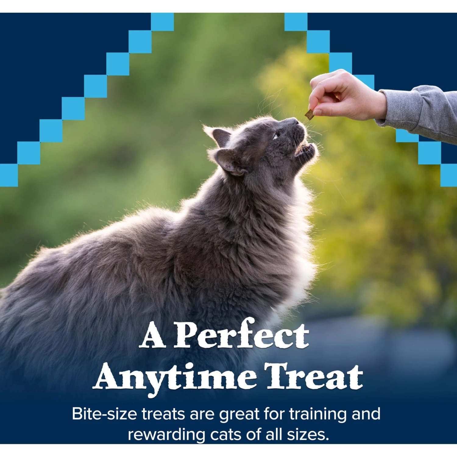 Blue Buffalo Wilderness Trout Formula Crunchy Grain-Free Cat Treats 6 Blue Buffalo Wilderness Trout Formula Crunchy Grain-Free Cat Treats - Image 4