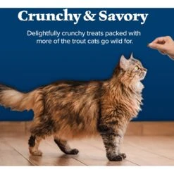 Blue Buffalo Wilderness Trout Formula Crunchy Grain-Free Cat Treats 14 Blue Buffalo Wilderness Trout Formula Crunchy Grain-Free Cat Treats -Trixie || Catit || Nature's Miracle Shop 114183 PT5. AC SS1800 V1691768581