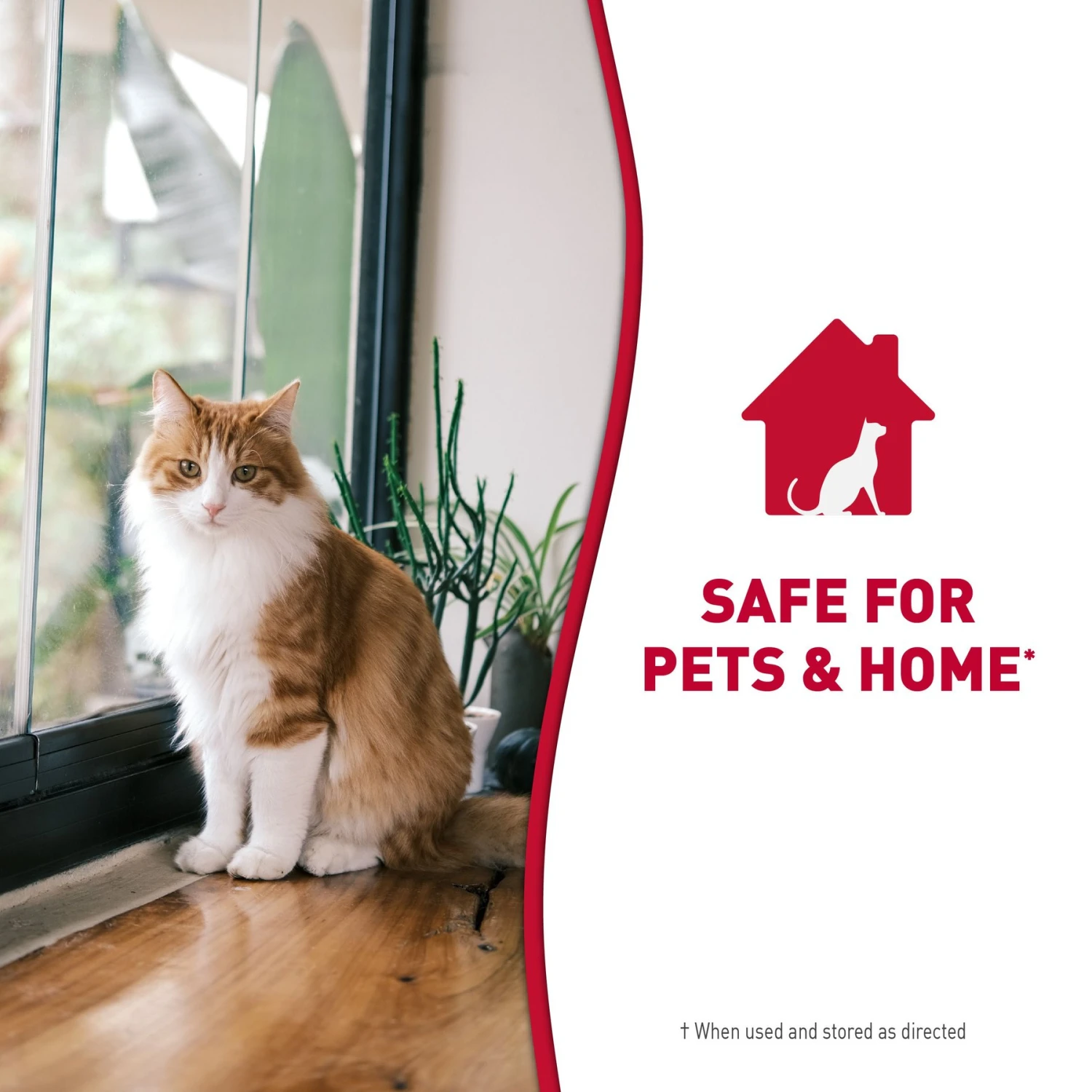 Nature's Miracle Cat Enzymatic Stain Remover & Odor Eliminator Spray, 32-oz Bottle 10 Nature's Miracle Cat Enzymatic Stain Remover & Odor Eliminator Spray, 32-oz Bottle - Image 8