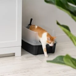 IRIS USA Open Top Litter Box With Scatter Shield & Scoop 16 IRIS USA Open Top Litter Box With Scatter Shield & Scoop -Trixie || Catit || Nature's Miracle Shop 116462 PT6. AC SS1800 V1680809081