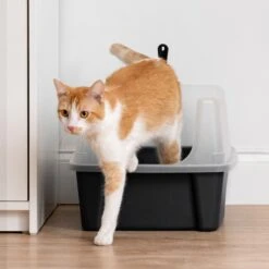 IRIS USA Open Top Litter Box With Scatter Shield & Scoop 17 IRIS USA Open Top Litter Box With Scatter Shield & Scoop -Trixie || Catit || Nature's Miracle Shop 116462 PT7. AC SS1800 V1680808961