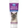PetAg Vitamin & Mineral Gel Cat Supplement, 3.5-oz Bottle -Trixie || Catit || Nature's Miracle Shop 118852 MAIN. AC SS1800 V1492446792