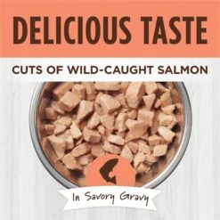 Instinct Healthy Cravings Grain-Free Cuts & Gravy Real Salmon Recipe Wet Cat Food Topper 12 Instinct Healthy Cravings Grain-Free Cuts & Gravy Real Salmon Recipe Wet Cat Food Topper -Trixie || Catit || Nature's Miracle Shop 122357 PT2. AC SS1800 V1701881904