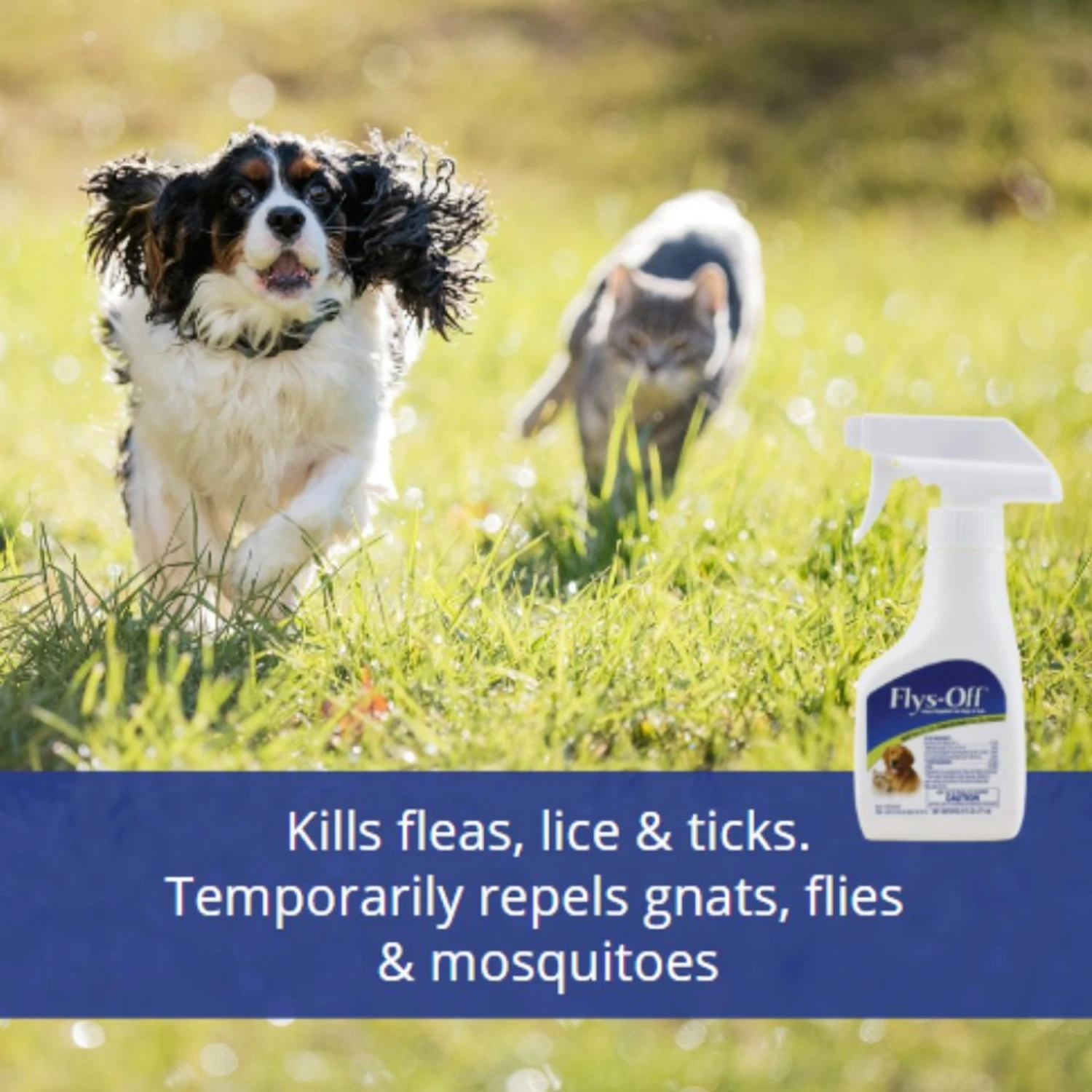 Flys-Off Insect Repellent Spray For Dogs & Cats 4 Flys-Off Insect Repellent Spray For Dogs & Cats - Image 2