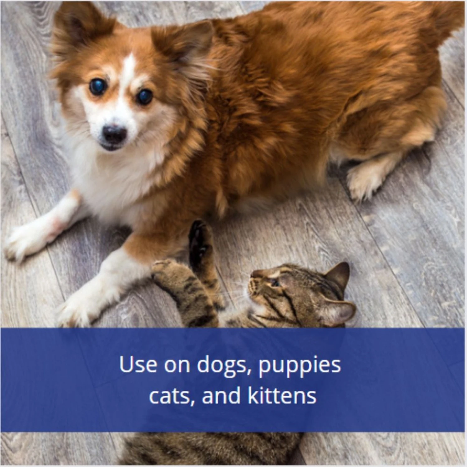 Flys-Off Insect Repellent Spray For Dogs & Cats 6 Flys-Off Insect Repellent Spray For Dogs & Cats - Image 4