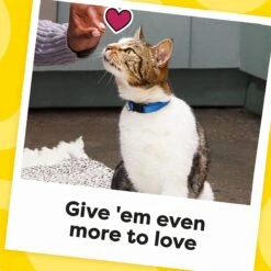 Temptations Jumbo Stuff Tasty Chicken Flavor Soft & Crunchy Cat Treats 16 Temptations Jumbo Stuff Tasty Chicken Flavor Soft & Crunchy Cat Treats -Trixie || Catit || Nature's Miracle Shop 123194 PT7. AC SS1800 V1571279557