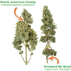 Meowijuana Purrple Passion Large Catnip Buds 9 Meowijuana Purrple Passion Large Catnip Buds -Trixie || Catit || Nature's Miracle Shop 125628 PT2. AC SS1800 V1631688117