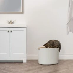 IRIS USA Round Top Entry Cat Litter Box & Scoop -Trixie || Catit || Nature's Miracle Shop 130345 PT2. AC SS1800 V1680881119