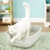 PetFusion BetterBox Non-Stick Cat Litter Box 2 PetFusion BetterBox Non-Stick Cat Litter Box -Trixie || Catit || Nature's Miracle Shop 133670 MAIN. AC SS1800 V1565284824