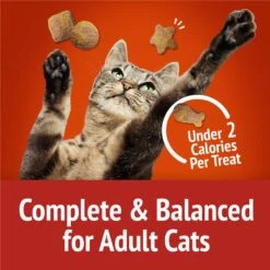 Friskies Party Mix Gravy-licious Chicken & Gravy Flavors Crunchy Cat Treats 17 Friskies Party Mix Gravy-licious Chicken & Gravy Flavors Crunchy Cat Treats -Trixie || Catit || Nature's Miracle Shop 135646 PT6. AC SS1800 V1700157647