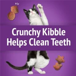Friskies Party Mix Gravy-licious Turkey & Gravy Flavors Crunchy Cat Treats -Trixie || Catit || Nature's Miracle Shop 135650 PT3. AC SS1800 V1695740203