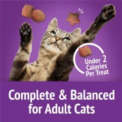 Friskies Party Mix Gravy-licious Turkey & Gravy Flavors Crunchy Cat Treats -Trixie || Catit || Nature's Miracle Shop 135650 PT6. AC SS1800 V1695736792