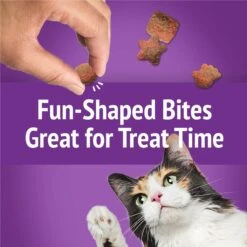 Friskies Party Mix Gravy-licious Turkey & Gravy Flavors Crunchy Cat Treats -Trixie || Catit || Nature's Miracle Shop 135650 PT7. AC SS1800 V1695847304