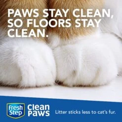 Fresh Step Clean Paws Scented Clumping Clay Cat Litter 14 Fresh Step Clean Paws Scented Clumping Clay Cat Litter -Trixie || Catit || Nature's Miracle Shop 141502 PT3. AC SS1800 V1694464765