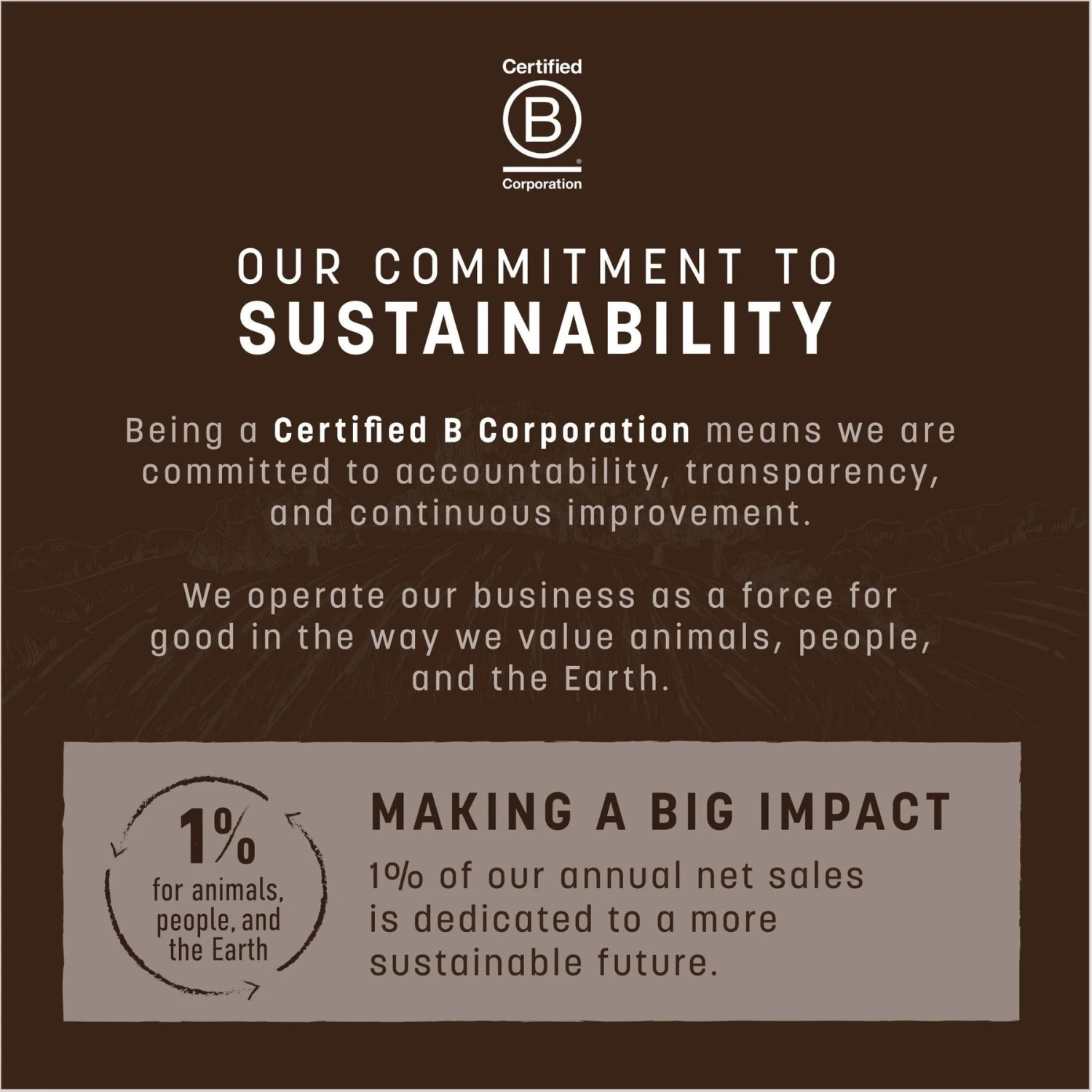 Earth Animal No-Hide Stix Long Lasting Natural Rawhide Alternative Beef Recipe Chew Dog & Cat Treat Sticks 11 Earth Animal No-Hide Stix Long Lasting Natural Rawhide Alternative Beef Recipe Chew Dog & Cat Treat Sticks - Image 9