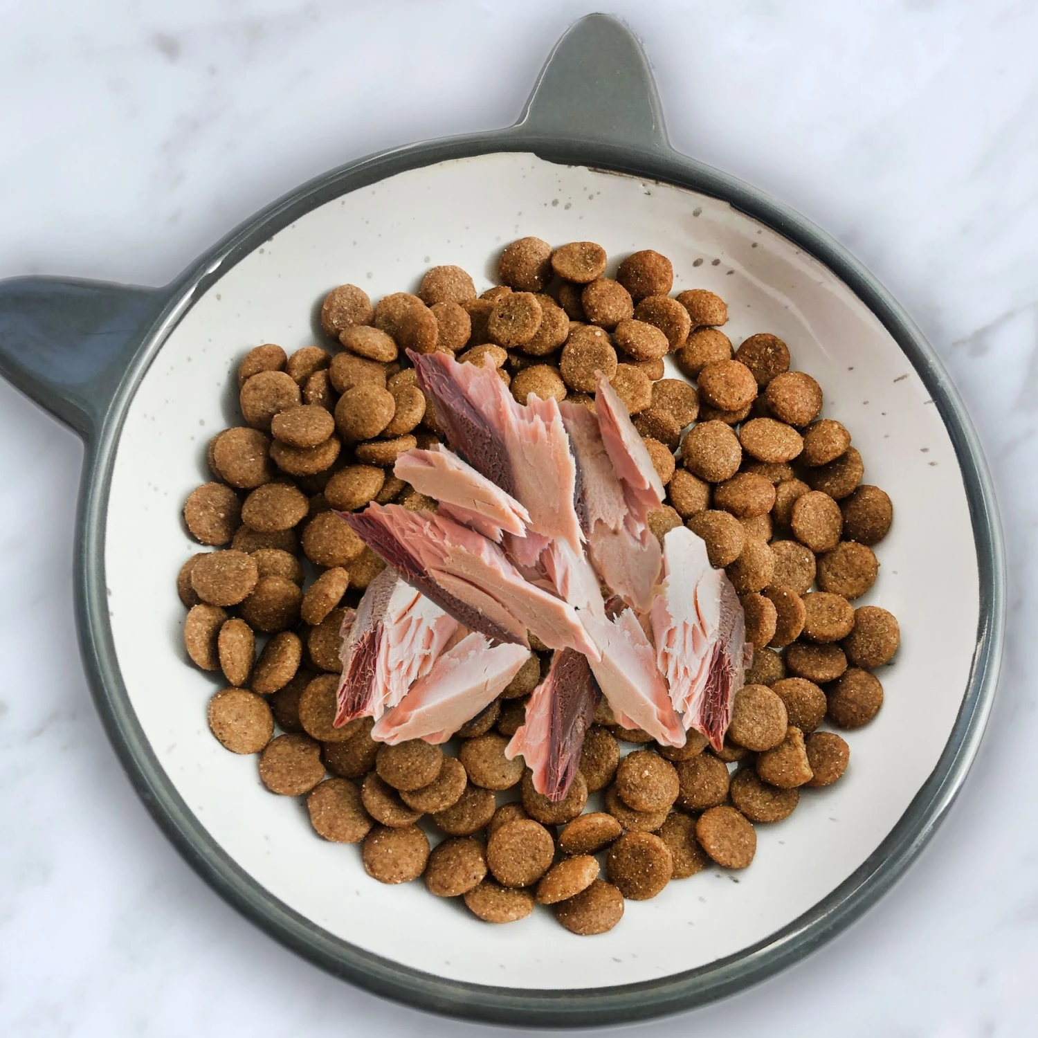 Inaba Ciao Grain-Free Grilled Tuna Fillet In Tuna Flavored Broth Cat Treat 7 Inaba Ciao Grain-Free Grilled Tuna Fillet In Tuna Flavored Broth Cat Treat - Image 5