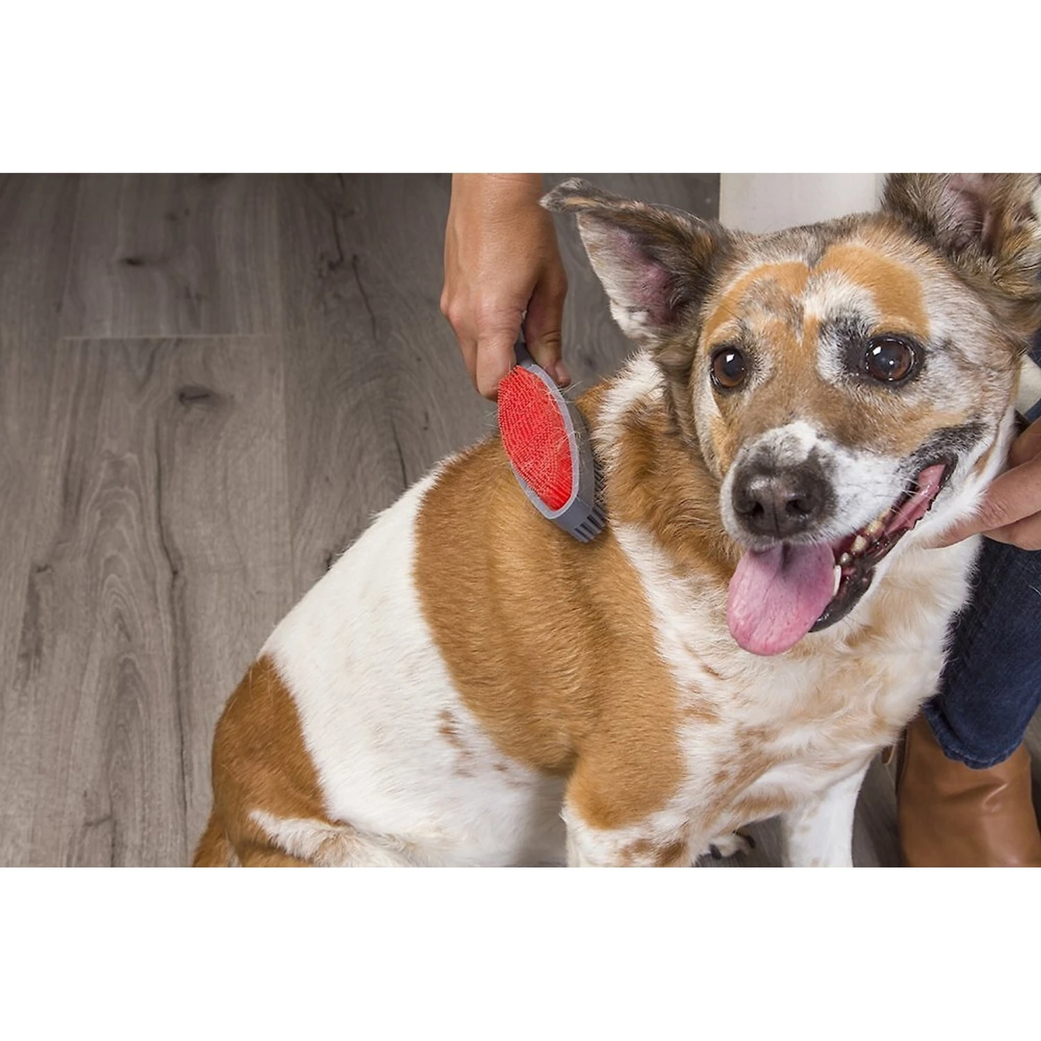 FURemover Duo Dual-Sided Grooming & Hair Removal Dog & Cat Brush, Color Varies 6 FURemover Duo Dual-Sided Grooming & Hair Removal Dog & Cat Brush, Color Varies - Image 4