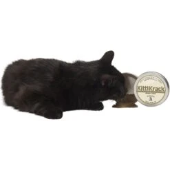 TwinCritters KittiKrack Organic Silvervine Powder 9 TwinCritters KittiKrack Organic Silvervine Powder -Trixie || Catit || Nature's Miracle Shop 145873 PT3. AC SS1800 V1526309238