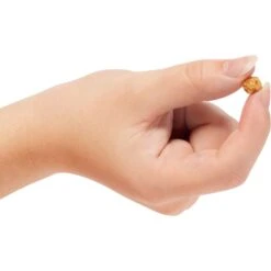 Redbarn Protein Puffs Chicken Flavor Cat Treats -Trixie || Catit || Nature's Miracle Shop 148795 PT2. AC SS1800 V1669928245