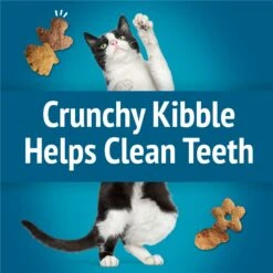 Friskies Party Mix Seafood Lovers Crunch Flavor Crunchy Cat Treats 14 Friskies Party Mix Seafood Lovers Crunch Flavor Crunchy Cat Treats -Trixie || Catit || Nature's Miracle Shop 149466 PT3. AC SS1800 V1695846642