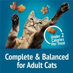 Friskies Party Mix Seafood Lovers Crunch Flavor Crunchy Cat Treats 16 Friskies Party Mix Seafood Lovers Crunch Flavor Crunchy Cat Treats -Trixie || Catit || Nature's Miracle Shop 149466 PT5. AC SS1800 V1695836574