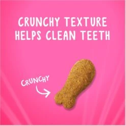 Friskies Party Mix Chicken & Waffles Flavors Crunchy Cat Treats 14 Friskies Party Mix Chicken & Waffles Flavors Crunchy Cat Treats -Trixie || Catit || Nature's Miracle Shop 149471 PT3. AC SS1800 V1695932953