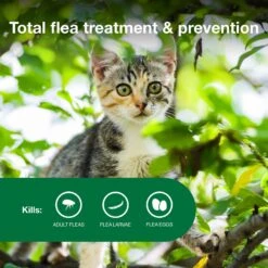 Advantage II Flea Spot Treatment For Cats, 2-5 Lbs -Trixie || Catit || Nature's Miracle Shop 150600 PT3. AC SS1800 V1680188109