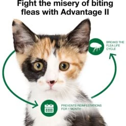 Advantage II Flea Spot Treatment For Cats, 2-5 Lbs -Trixie || Catit || Nature's Miracle Shop 150600 PT6. AC SS1800 V1680186635