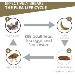 Frontline Gold For Cats Flea & Tick Treatment (Cats Over 1.5 Lbs.) -Trixie || Catit || Nature's Miracle Shop 151407 PT2. AC SS1800 V1687351132