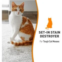 Nature's Miracle Cat Oxy Formula Set-In Stain Destroyer & Odor Remover Spray -Trixie || Catit || Nature's Miracle Shop 152168 PT6. AC SS1800 V1701114550