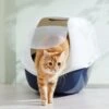 Frisco Hooded Cat Litter Box 2 Frisco Hooded Cat Litter Box -Trixie || Catit || Nature's Miracle Shop 153376 MAIN. AC SS1800 V1675280052