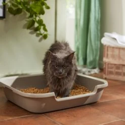 Nature's Logic All Natural Pine Unscented Non-Clumping Wood Cat Litter -Trixie || Catit || Nature's Miracle Shop 153908 PT3. AC SS1800 V1680789625