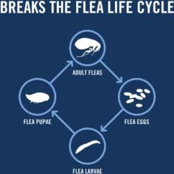 PetArmor Plus Flea & Tick Spot Treatment For Cats, Over 1.5 Lbs -Trixie || Catit || Nature's Miracle Shop 154762 PT4. AC SS1800 V1699392289