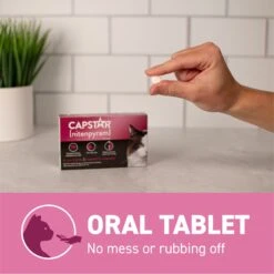 Capstar Flea Oral Treatment For Cats, 2-25 Lbs 18 Capstar Flea Oral Treatment For Cats, 2-25 Lbs -Trixie || Catit || Nature's Miracle Shop 154856 PT7. AC SS1800 V1693496080