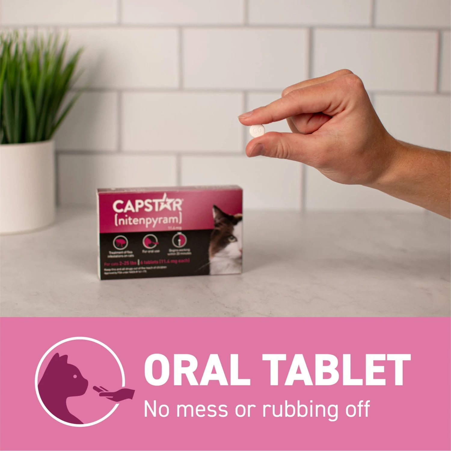 Capstar Flea Oral Treatment For Cats, 2-25 Lbs 10 Capstar Flea Oral Treatment For Cats, 2-25 Lbs - Image 8